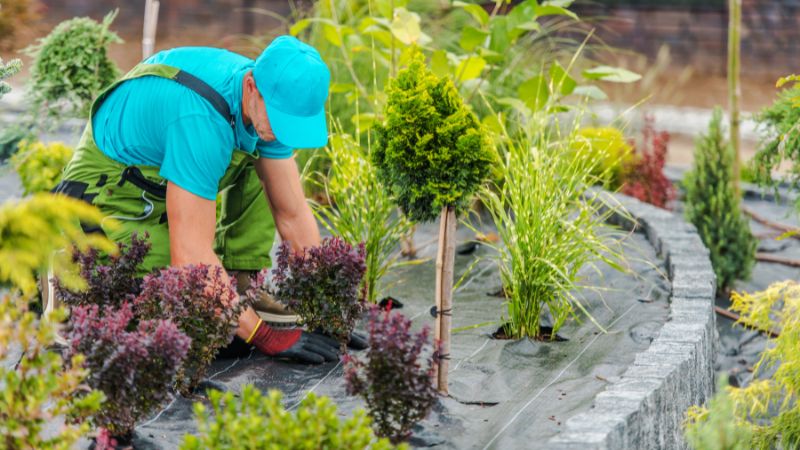 Top 10 Low-Maintenance Landscaping Plants for Beginners